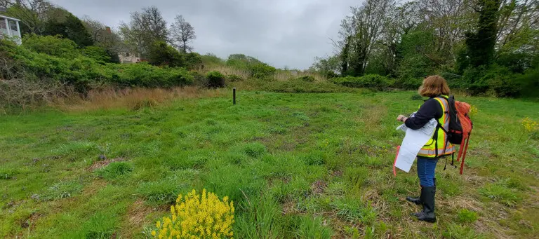Wetlands