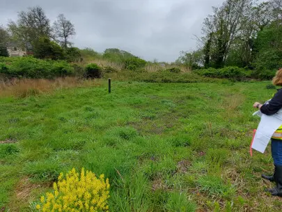 Wetlands