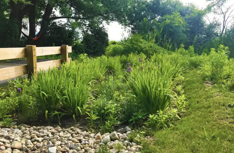 18027 Sandwich Harbor Stormwater